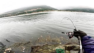 Winter Lure Fishing  Pollock on the Drop [upl. by Bush]