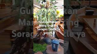 GUBUG MAKAN MANG ENGKING SORAGAN CASTLE  KULINER NUSANTARA fypシ゚viral mukbang music storywa [upl. by Jaime154]