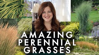 10 Perennial Grasses I Absolutely Love 🌾💚 Garden Answer [upl. by Eul]