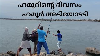 ഹമൂറിന്റെ ദിവസം ഹമൂർ അടിയോടടി  fishing  sea fishing  fishing malayalam  fisherman  fish [upl. by Riesman]