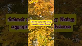 motivational speech tamil motivation tamilmotivation [upl. by Galanti]