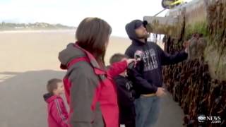 66ft concrete dock washes ashore in Oregon from Japans EarthquakeTsunami 2011 Disaster [upl. by Natasha506]