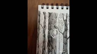 Composition Drawing  Charcoal Pencil art artist charcoaldrawing landscape composition [upl. by Margie]