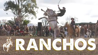 APADRINANDO Nº350  2º FIESTA AMIGOS DEL CEIBO  RANCHOS  BUENOS AIRES 🐎 [upl. by Cairns]