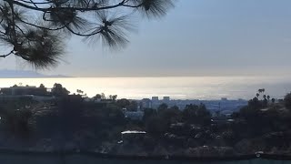 Jan 11 24 Rare chance to view Catalina Island from Bel Air Estates [upl. by Atilahs]