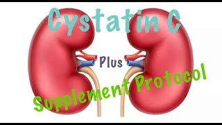 Cystatin C and Bonus Supplement Protocol [upl. by Nomael]