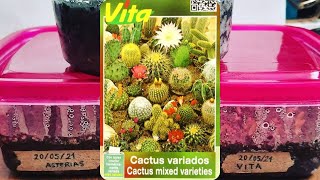 Germinando sobre de Semillas Vita  Cactus [upl. by Naaman608]