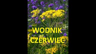 Tarot WODNIK  CZERWIEC 2024 [upl. by Ived]