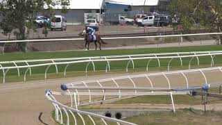 Townsville 20241105 Race 2 [upl. by Kinny]