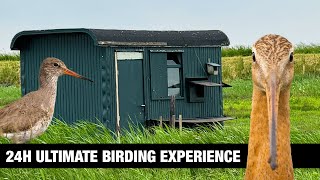 24 Hours locked in a Bird Hide  ASMR Nature Sounds  Silent vlog [upl. by Gottuard]