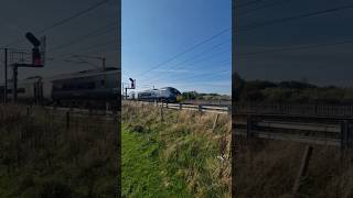 class 390 039 gives tones as it passes Winwick jn train trainspotting class390 [upl. by Nylirad]