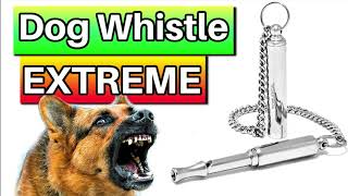 Dog Whistle 10 hours [upl. by Tsnre]