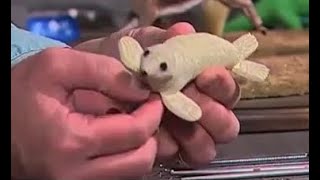 Creations in Clay Fur Seal  Clay tutorial for beginners [upl. by Elie117]