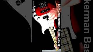 Crackerman Bass Cover – Stone Temple Pilots basicallybassguitar Crackerman STP bass [upl. by Amrac]