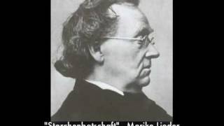 Hugo Wolf quotStorchenbotschaftquot  Morike Lieder [upl. by Sinegra]