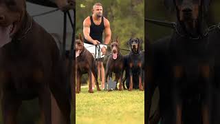 The Most Dangerous Dogs in the World shorts [upl. by Lynette997]