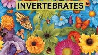 Discover the AMAZING World of Invertebrates [upl. by Boorman71]