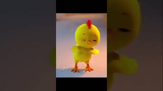 “Chick Dance Party Watch the Little Chick Groove”2024 [upl. by Swanson427]