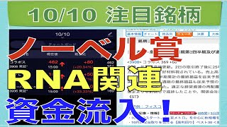 【10月10日】ノーベル賞RNAでバイオ関連銘柄に資金流入！【明日の注目株】 [upl. by Fattal]