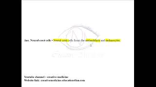 Derivatives of Ectoderm and Endoderm MCQ mp4 [upl. by Willman408]