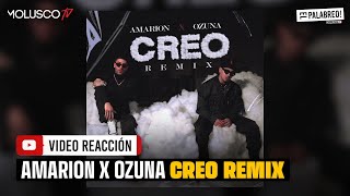 Ozuna y Amarion ponen a sudar a muchos con el Remix de quotCREOquot el palabreo reacciona [upl. by Nnaesor]