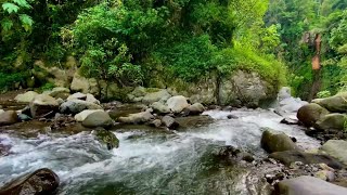 Natural sounds  Beautiful Scenery and Stream  Soothing Water Ambience  Peaceful Nature Sounds [upl. by Ennasirk]