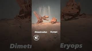 Prehistoric Showdown Dimetrodon vs Eyrops [upl. by Reklaw564]