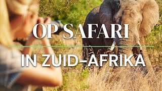 Op Safari in Zuid Afrika [upl. by Marx]