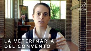 La Veterinaria del Convento 🐷  Diosidencias [upl. by Nared]