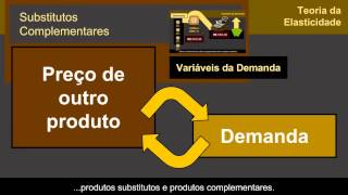 Teoria da Elasticidade ECONOMIA 27 [upl. by Airdnassac]