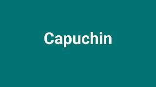 Capuchin Meaning and Pronunciation [upl. by Nyrroc621]