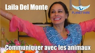 Laila Del Monte  Communiquer avec les animaux [upl. by Yrek695]