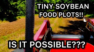 SOYBEANS IN TINY FOOD PLOTS IS IT POSSIBLE [upl. by Audres]