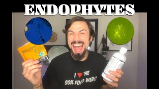 Endophytes  the Real Story with Matt Powers [upl. by Aser]