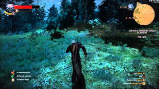 The Witcher 3 Contrato A Criatura da floresta de Oxenfurt [upl. by Fairman]