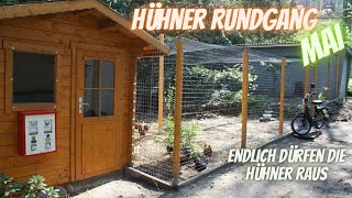 Hühner Rundgang Mai  Neues Hühnergehege  Sitzstangen  Küken  Ende der Stallpflicht [upl. by Carolynn322]