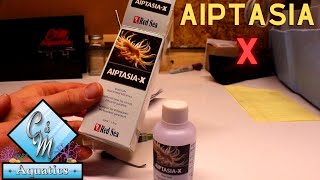 How to use aiptasia x [upl. by Kavita]