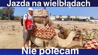 Jazda na Wielbłądach  Nie Polecam  maroko [upl. by Eiffub]