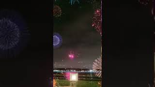 【横浜花火🎆八景島花火大会】花火 花火大会 夏 [upl. by Eittol]