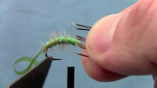 Tying with Hans Hydropsyche Caddis Larvae [upl. by Aivat902]