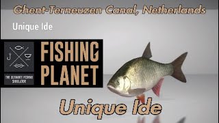 Unique Ide  GhentTerneuzen Canal Netherlands  Fishing Planet Guide [upl. by Adehsor130]