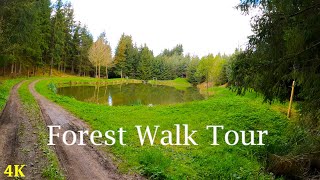 Forest Walk Tour  4K  ASMR  Virtual Walking  Slow TV  Nature Hike  Spring Trail [upl. by Valora]