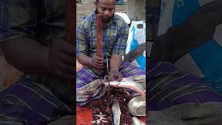 kashimedu selvam amazing ayer fish cutting skill shorts ayer fishcuting fishcuttingskill fish [upl. by Vocaay]