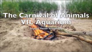 The Carnival of Animals VII Aquarium  Camille SaintSaëns 12 Hour Loop Le carnaval des animaux [upl. by Rialc924]