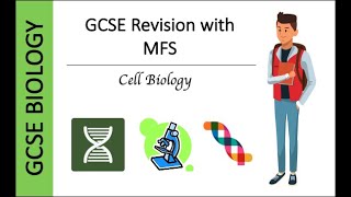 GCSE Biology Microscopy Exam Questions [upl. by Maurizia]