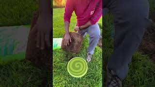 🇺🇸 SQUARE or ROUND TREE Hole 🤔 💢 America la💢 💥 USA Tamil Vlogs🇺🇸 [upl. by Eenyaj427]