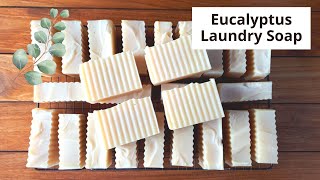 Eucalyptus Laundry Soap with Coconut and Rice Bran Oils full demonstration and lather test [upl. by Drofwarc]