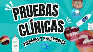 Pruebas Clínicas Diagnósticas Pulpares y Periapicales 🦷 [upl. by Nylad]