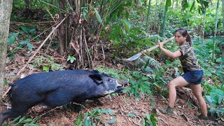 Wild boar has been caught in a trap skills for setting wild boar traps survival alone [upl. by Aerdnael]