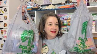 Dollar Tree Haul 2  June 28 2021 [upl. by Nahshu]